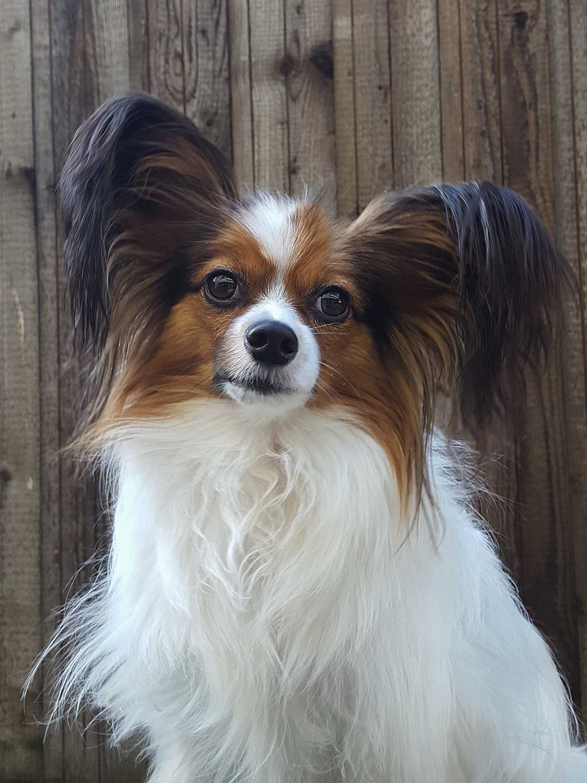 Diego